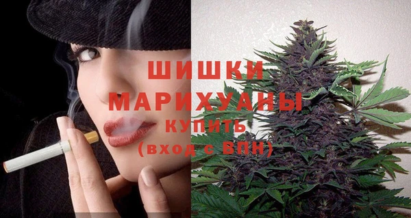 спайс Алзамай