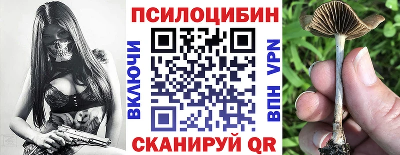 Галлюциногенные грибы мухоморы  Ардатов 
